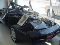 Rear Shot