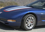 Click on picture for enlarged image.
