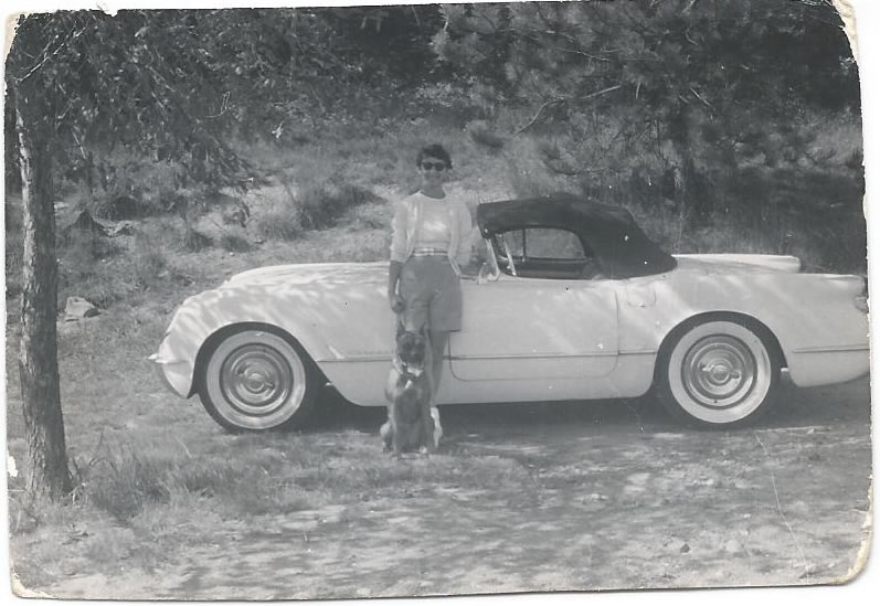 1953 Corvette #43