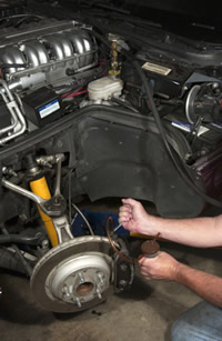 click for larger view